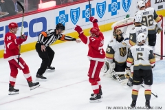 Red Wings vs Golden Knights Feb 7 2019 (17)