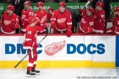 Red Wings vs Golden Knights Feb 7 2019 (18)