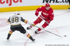 Red Wings vs Golden Knights Feb 7 2019 (19)