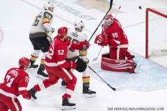 Red Wings vs Golden Knights Feb 7 2019 (20)
