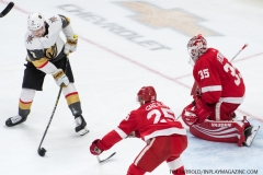 Red Wings vs Golden Knights Feb 7 2019 (21)