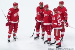 Red Wings vs Golden Knights Feb 7 2019 (23)
