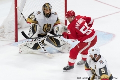 Red Wings vs Golden Knights Feb 7 2019 (24)