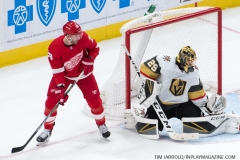 Red Wings vs Golden Knights Feb 7 2019 (25)