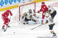 Red Wings vs Golden Knights Feb 7 2019 (3)