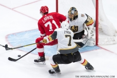 Red Wings vs Golden Knights Feb 7 2019 (31)