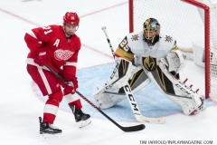 Red Wings vs Golden Knights Feb 7 2019 (32)