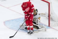 Red Wings vs Golden Knights Feb 7 2019 (33)