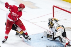 Red Wings vs Golden Knights Feb 7 2019 (39)