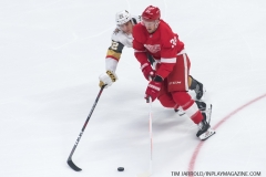 Red Wings vs Golden Knights Feb 7 2019 (4)