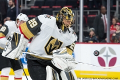 Red Wings vs Golden Knights Feb 7 2019 (40)