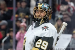 Red Wings vs Golden Knights Feb 7 2019 (41)