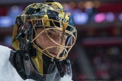 Red Wings vs Golden Knights Feb 7 2019 (42)