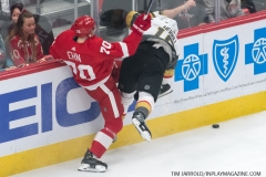Red Wings vs Golden Knights Feb 7 2019 (5)