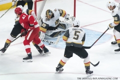 Red Wings vs Golden Knights Feb 7 2019 (6)