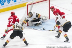 Red Wings vs Golden Knights Feb 7 2019 (7)