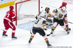 Red Wings vs Golden Knights Feb 7 2019 (8)