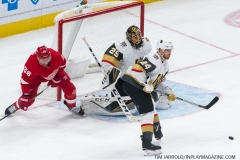 Red Wings vs Golden Knights Feb 7 2019 (9)