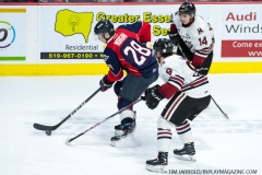 Spitfires vs Guelph Feb 8 2018 (23)