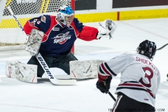 Spitfires vs Guelph Feb 8 2018 (28)