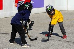 Hoemtown-Hockey-LaSalle-2020-1