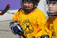 Hoemtown-Hockey-LaSalle-2020-4