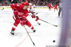 Carolina-Hurricanes-vs-Detroit-Red-Wings-Nov-24-2019-13