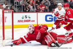 Carolina-Hurricanes-vs-Detroit-Red-Wings-Nov-24-2019-16