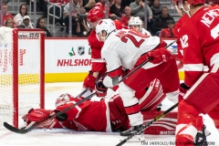 Carolina-Hurricanes-vs-Detroit-Red-Wings-Nov-24-2019-17