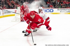 Carolina-Hurricanes-vs-Detroit-Red-Wings-Nov-24-2019-19