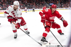 Carolina-Hurricanes-vs-Detroit-Red-Wings-Nov-24-2019-23