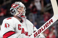 Carolina-Hurricanes-vs-Detroit-Red-Wings-Nov-24-2019-24