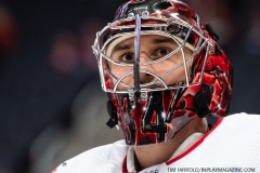 Carolina-Hurricanes-vs-Detroit-Red-Wings-Nov-24-2019-26