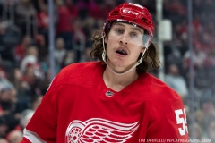 Carolina-Hurricanes-vs-Detroit-Red-Wings-Nov-24-2019-32