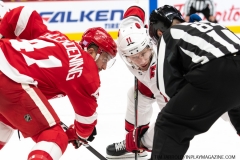 Carolina-Hurricanes-vs-Detroit-Red-Wings-Nov-24-2019-33