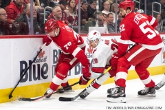 Carolina-Hurricanes-vs-Detroit-Red-Wings-Nov-24-2019-4