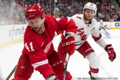 Carolina-Hurricanes-vs-Detroit-Red-Wings-Nov-24-2019-9