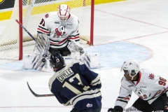 Windsor Spitfires vs Niagara IceDogs Jan 27 2019 (25)