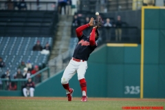 Tigers vs Indians April 10 2018 (7)