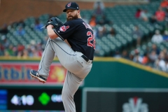 Tigers vs Indians June 10 2018 (15)
