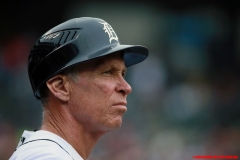 Tigers vs Indians June 10 2018 (16)