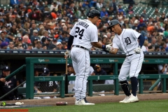 Tigers vs Indians June 10 2018 (9)