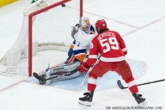 Red Wings vs Islanders April 7 2018 (1)