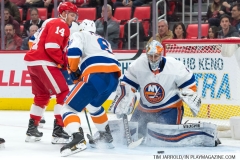 Red Wings vs Islanders April 7 2018 (10)