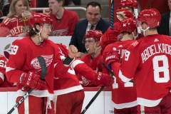 Red Wings vs Islanders April 7 2018 (14)