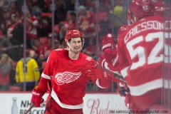 Red Wings vs Islanders April 7 2018 (18)