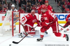 Red Wings vs Islanders April 7 2018 (20)