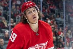 Islanders-vs-Red-Wings-December-2-2019-17