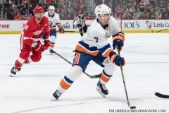 Red Wings vs Islanders March 16 2019 (1)