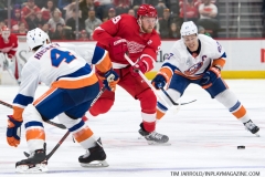 Red Wings vs Islanders March 16 2019 (10)